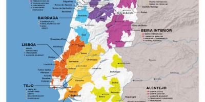 النبيذ خريطة البرتغال